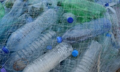 ambalaža plastika plastične flaše